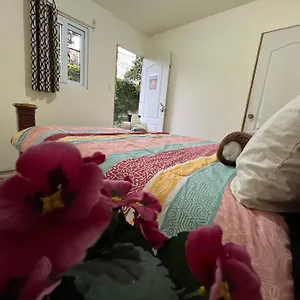 Casa Del Viajero Colonial Accommodatie bij particulieren